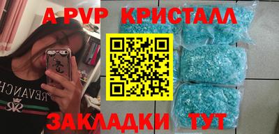 крисы Кулебаки