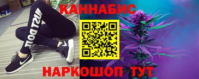 крисы Кулебаки