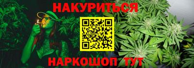 крисы Кулебаки