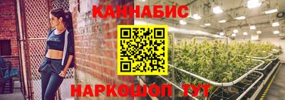 крисы Кулебаки